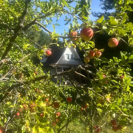 Harmony House Dom wakacyjny