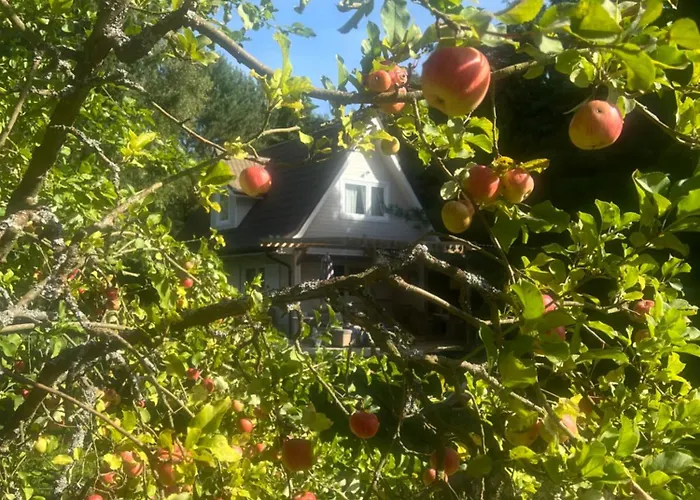 Harmony House Feriehus